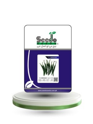 F-1 SHEHZADI (Hybrid Chilli)