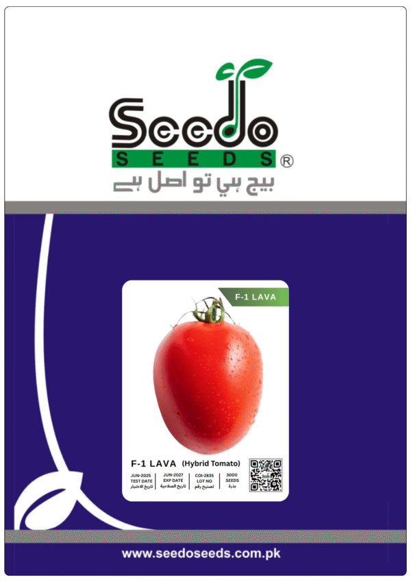 F-1 LAVA (Hybrid Tomato)