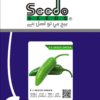 F-1 SEEDO GREEN (Hybrid Chili)