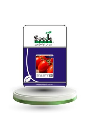 F-1 CAPTAN (Hybrid Tomato)