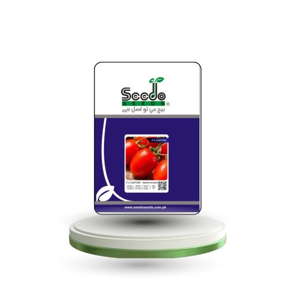 F-1 CAPTAN (Hybrid Tomato)