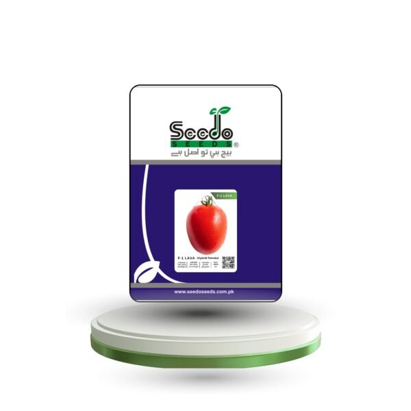 F-1 LAVA (Hybrid Tomato)