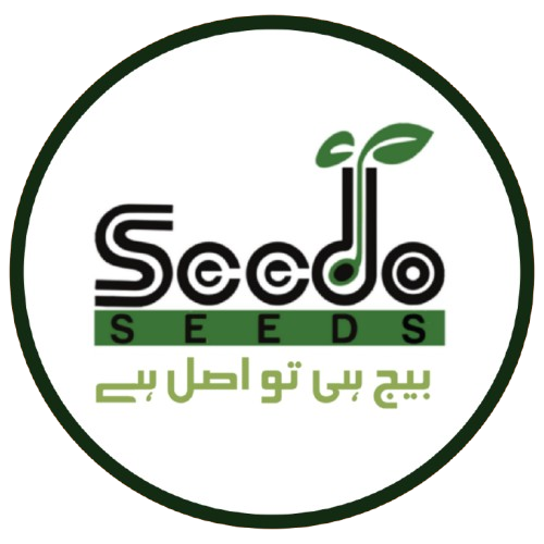 SeedoSeeds