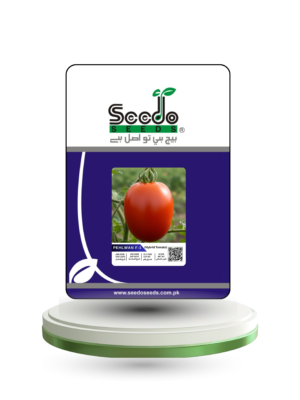 PEHLWAN F-1 Hybrid Tomato