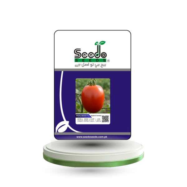 PEHLWAN F-1 Hybrid Tomato