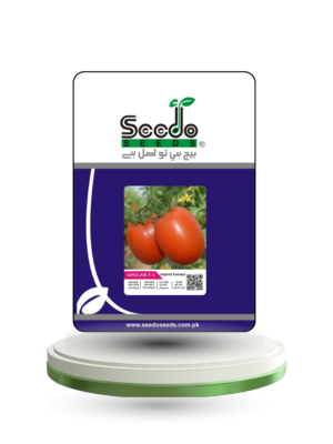 GHULAB F-1 Hybrid Tomato Seeds