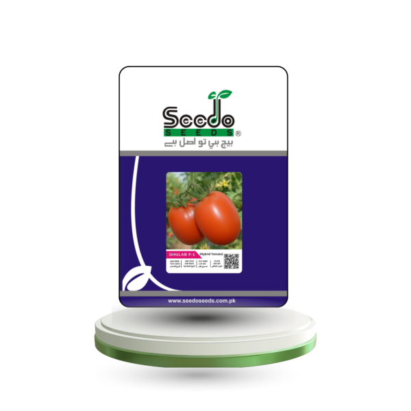 GHULAB F-1 Hybrid Tomato Seeds