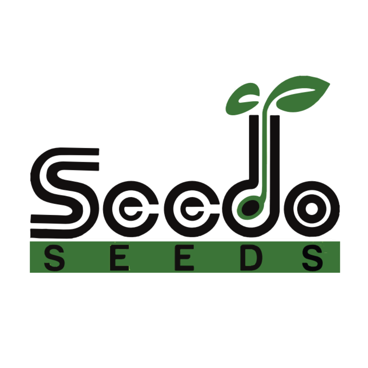 SeedoSeeds